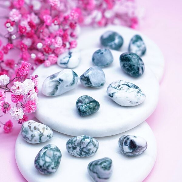 agat drzewny polerowany mini