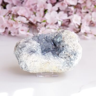 leżący celestyn okaz nr 1