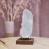P1032691
