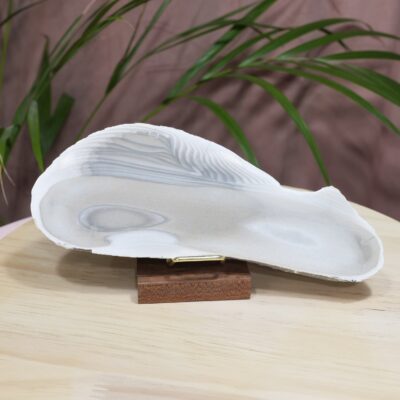 krzemień pasiasty nr 1