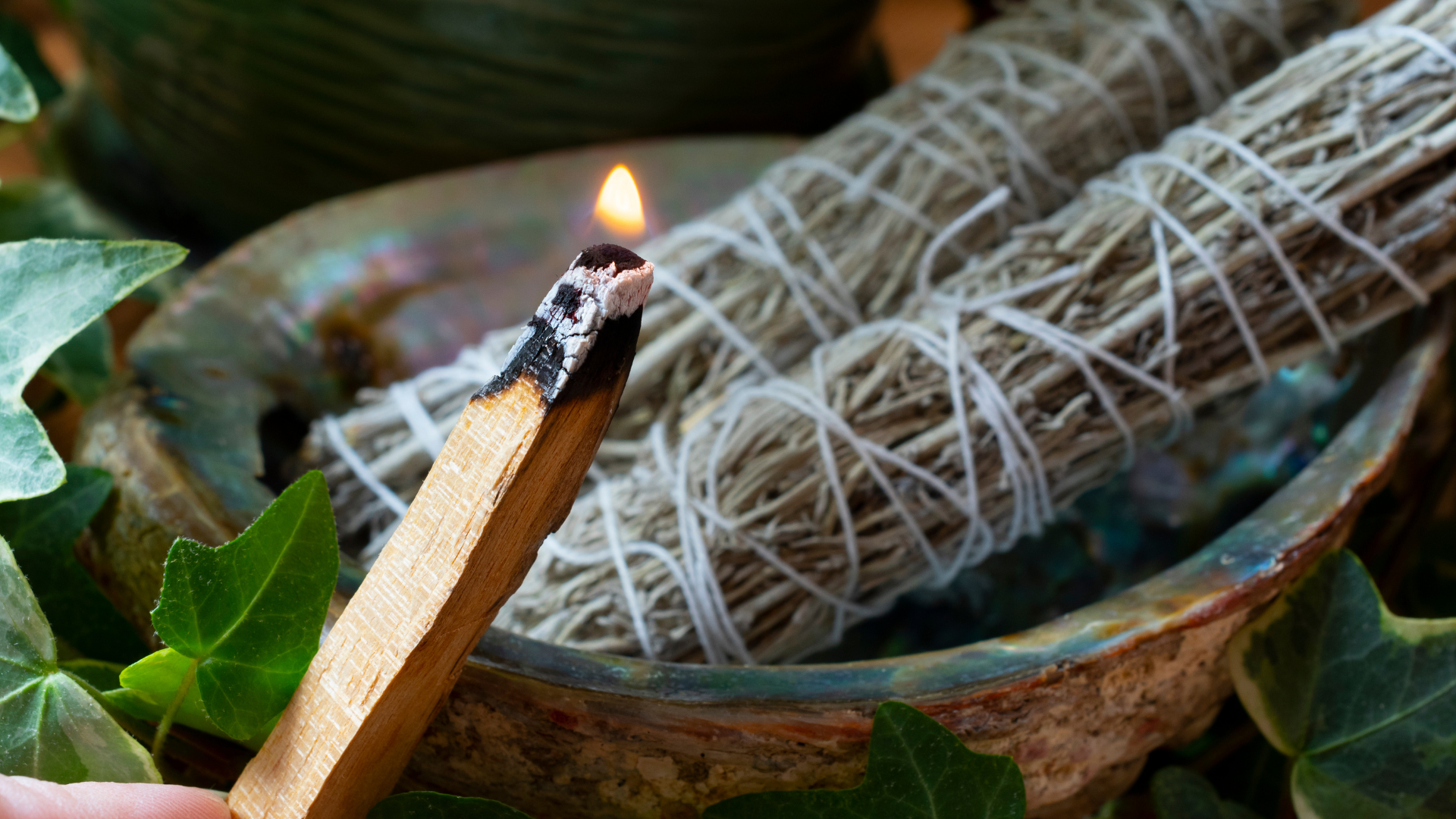 Palo Santo czy biała szałwia? Co jest lepsze i dlaczego warto oczyścić energię przed końcem lata? 2 Palo Santo czy biała szałwia