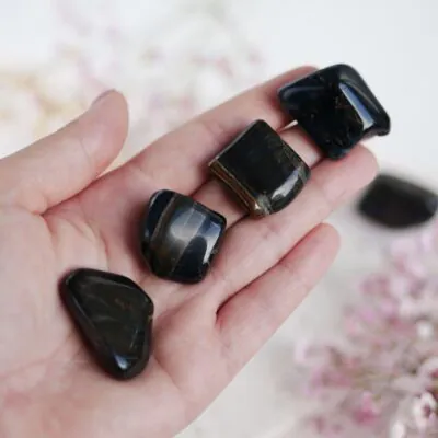 Sokole oko polerowane