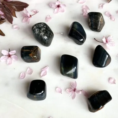 sokole oko polerowane