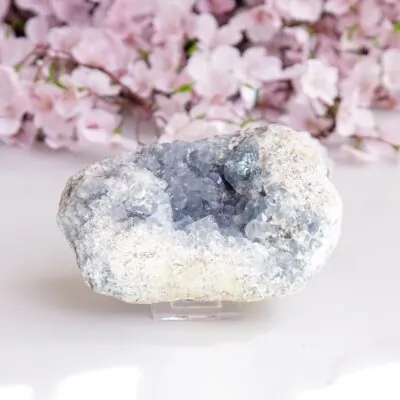 leżący celestyn okaz nr 1