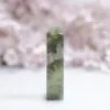 P1011170